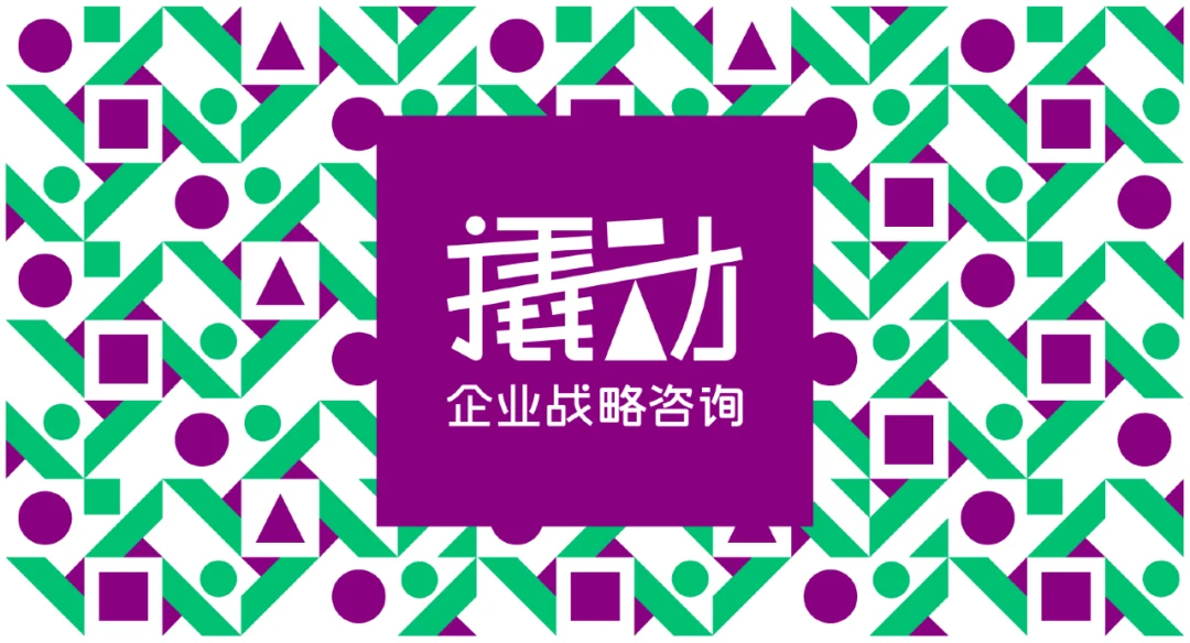战略咨询在企业转型发展过程中有哪些作用?撬动为我们带来启发 · 相关配图