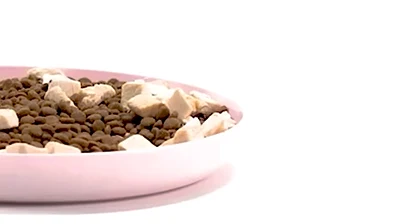 宠物食品品牌难做大?撬动企业战略咨询点出怪象根源 · 相关配图