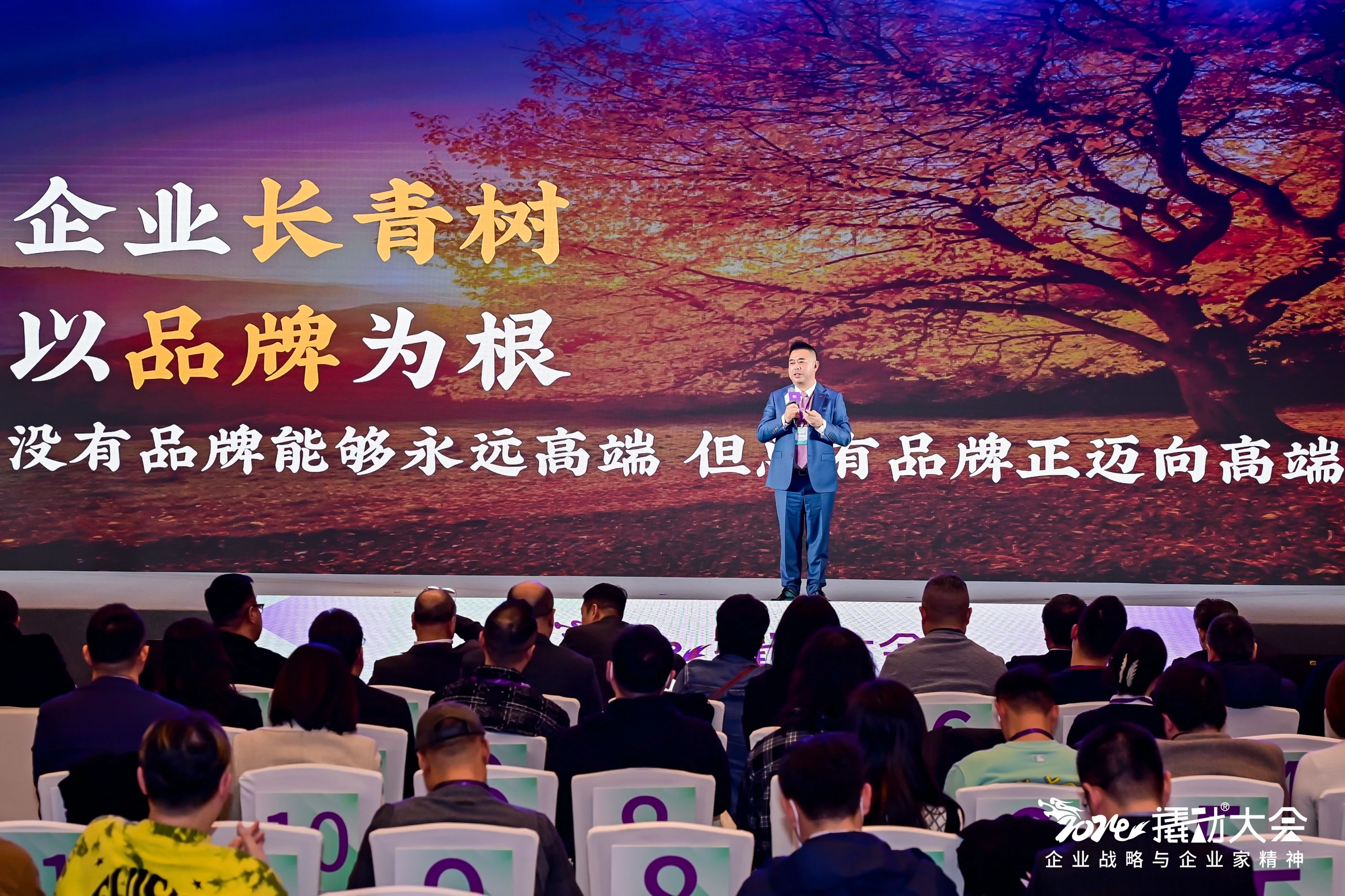 撬动企业战略咨询以战略可视化表达，制作霸王茶姬全球TVC《CHA》